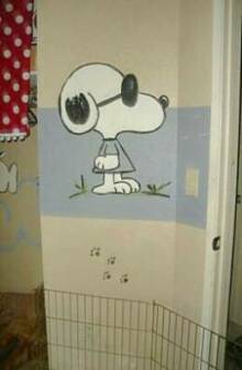 Chihuahua puppy room by Patty