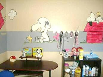 Chihuahua puppy room
